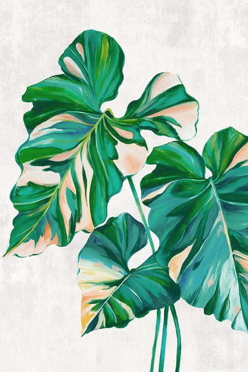 Picture of GREEN TROPICAL LEAVES