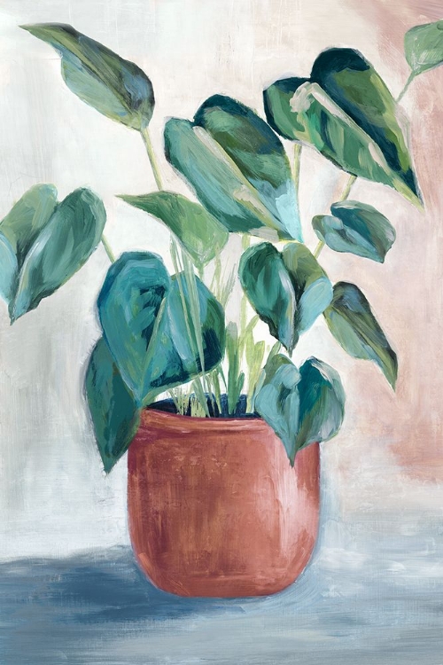 Picture of HOUSE PLANT