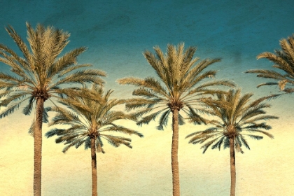 Picture of DISTRESSED PALM TREES