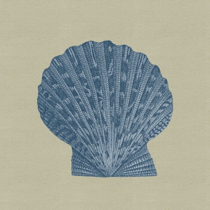 Picture of CHAMBRAY SHELLS IV