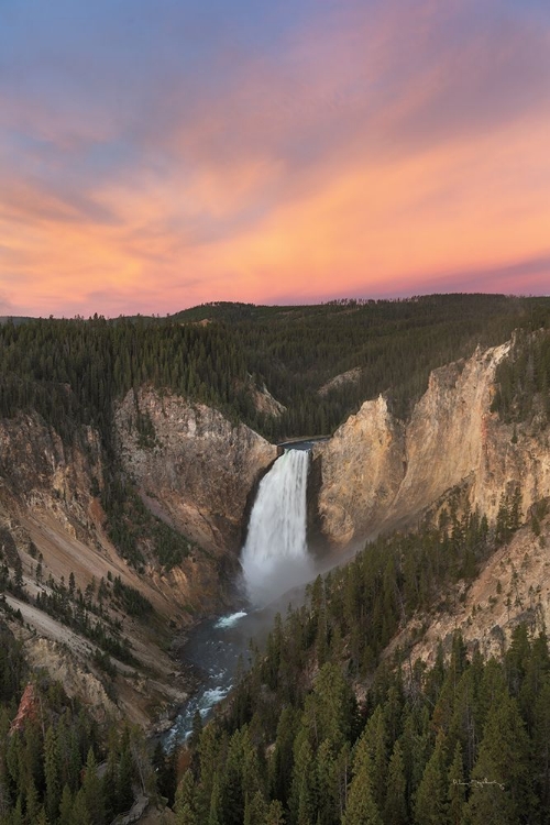 Picture of LOWER FALLS OF THE YELLOWSTONE RIVER II