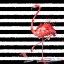 Picture of FLAMINGO SPLASH II