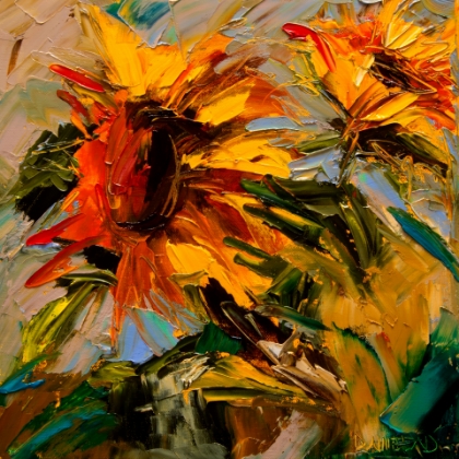 Picture of Sunflower