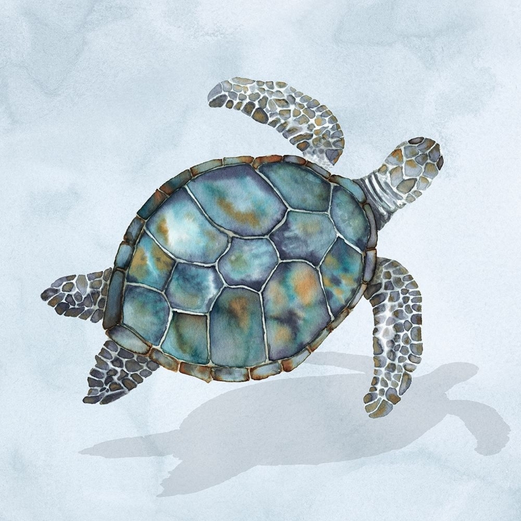 Picture of BLUE SEA TURTLE I