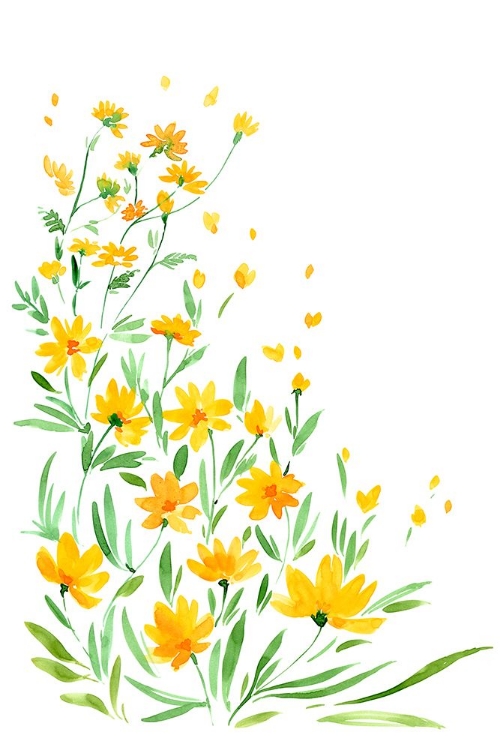 Picture of YELLOW WATERCOLOR WILDFLOWERS