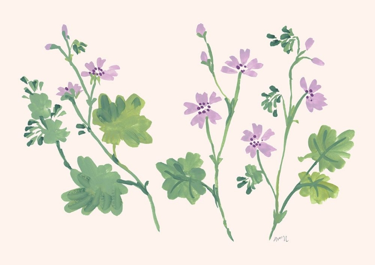 Picture of LITTLE VIOLETS