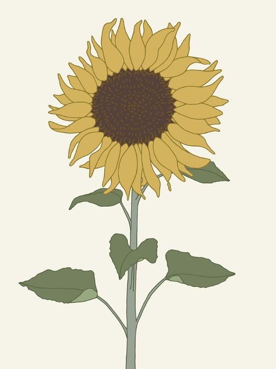 Picture of SUNFLOWER 1