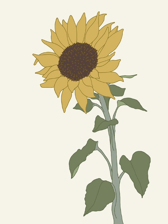 Picture of SUNFLOWER 2