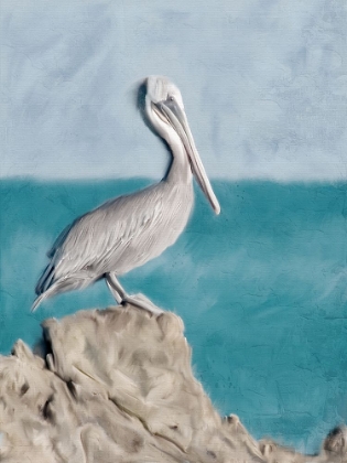 Picture of PELICAN PERCH