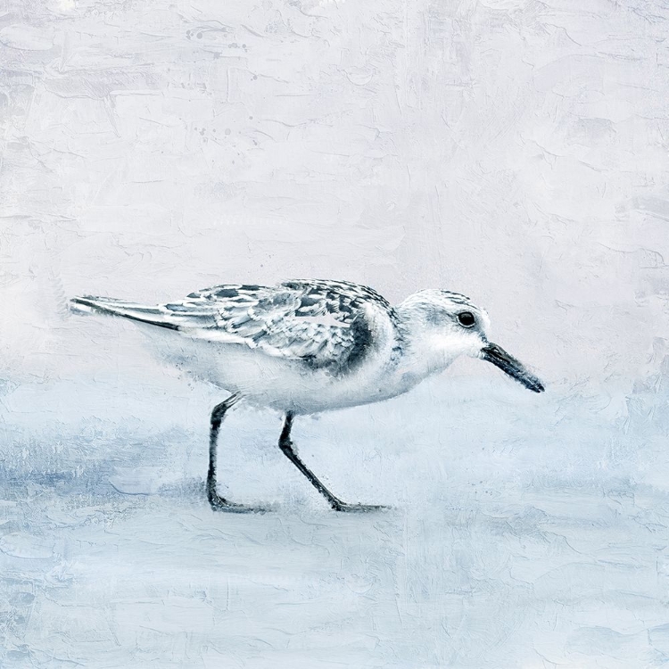 Picture of SANDPIPER 1