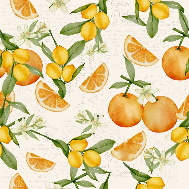 Picture of CITRUS FRUIT PATTERN