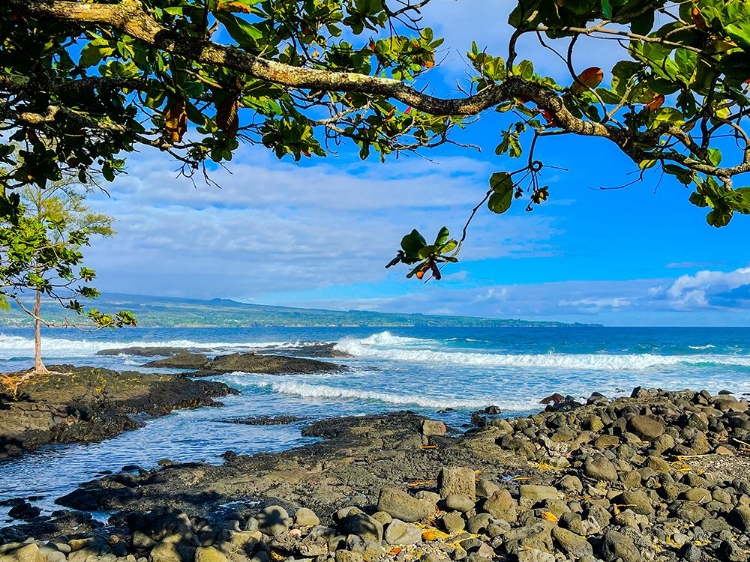 Picture of HAMAKUA FROM AFAR