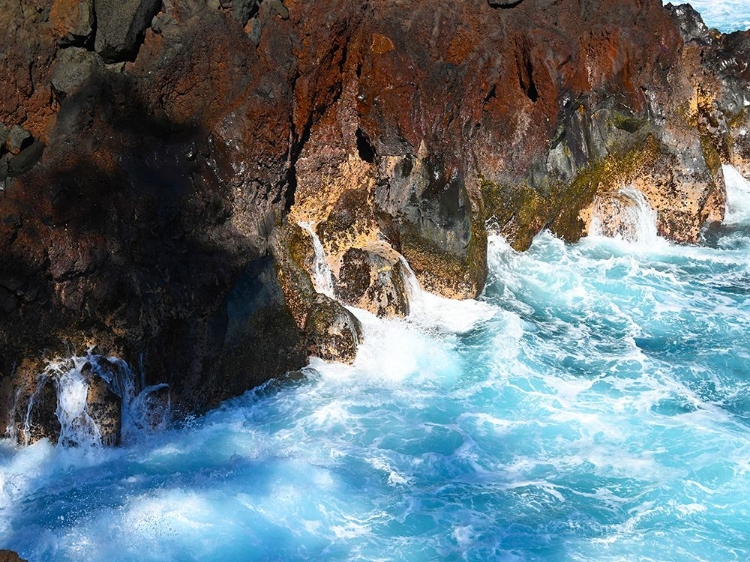 Picture of PUNA CLIFF BOTTOM