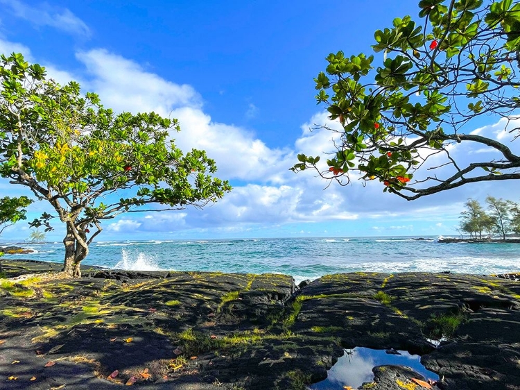 Picture of TROPICAL AUTUMN MORNING OCEANRISE