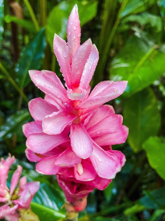 Picture of FLORAL HEART BLISS