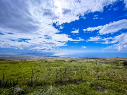 Picture of COUNTRY ROAD ON KOHALA COASTLINE