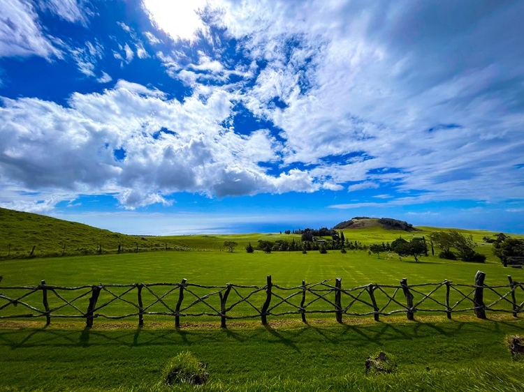 Picture of KOHALA COUNTRYSIDE