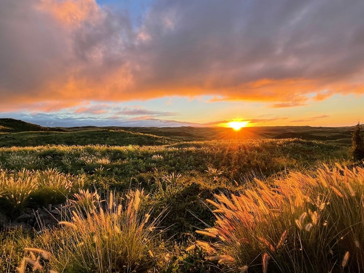 Picture of SUNSET ON SADDLE ROAD