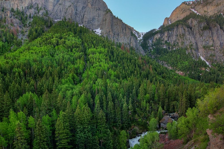 Picture of A MOUNTAIN OF GREEN