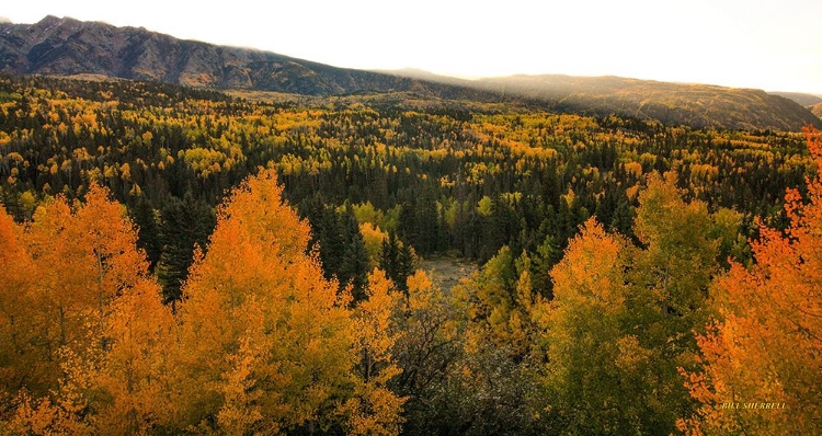 Picture of AUTUMN SUNRISE