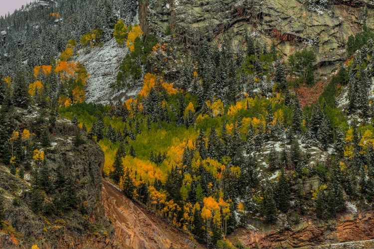 Picture of AUTUMN WALL