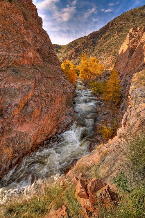 Picture of CANYON OF DREAMS