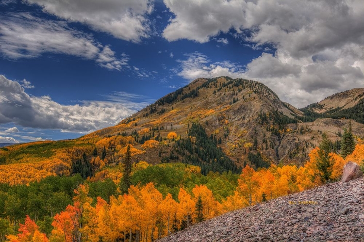 Picture of COLOR IN THE CLOUDS