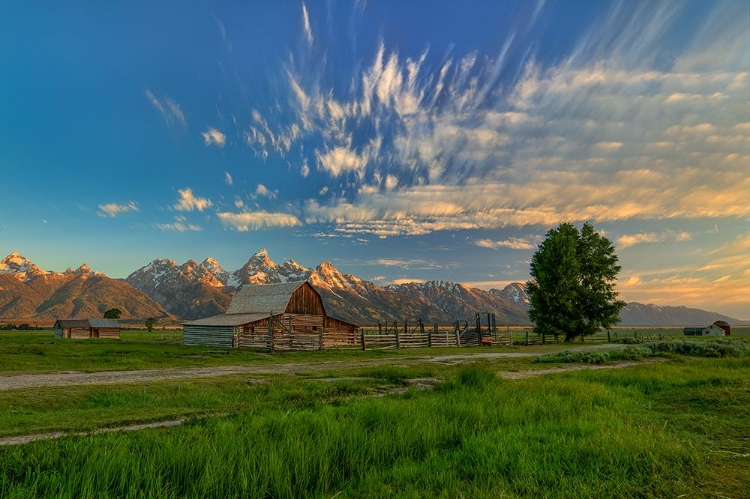 Picture of GOLDEN TETON MORNING