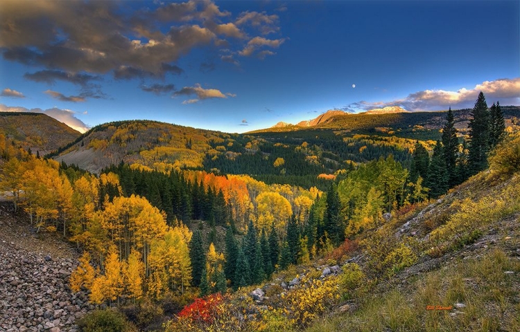 Picture of MORNING GLORY AT COAL BANK PASS