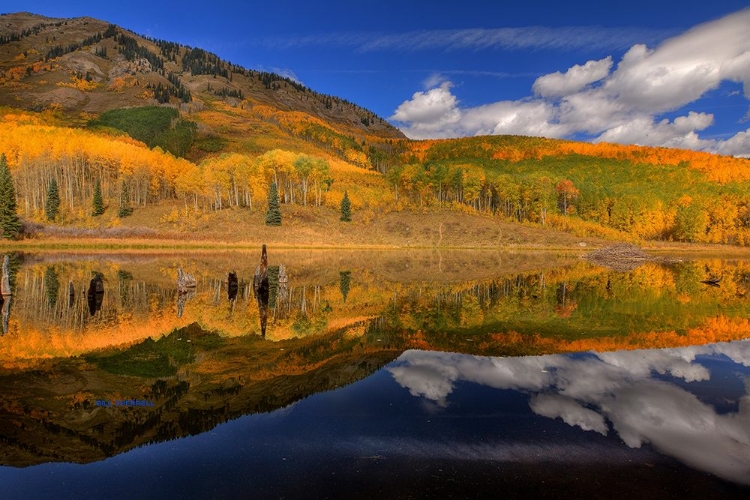 Picture of REFLECTING ON AUTUMN