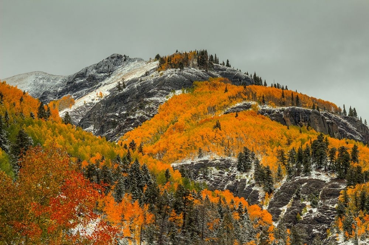 Picture of WHITE LACE AND AUTUMN RIDGES