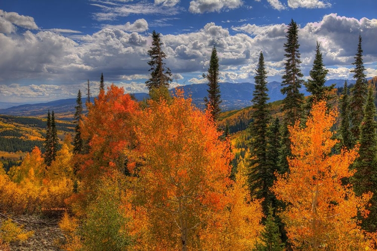 Picture of AUTUMN FIRE AT OHIO PASS