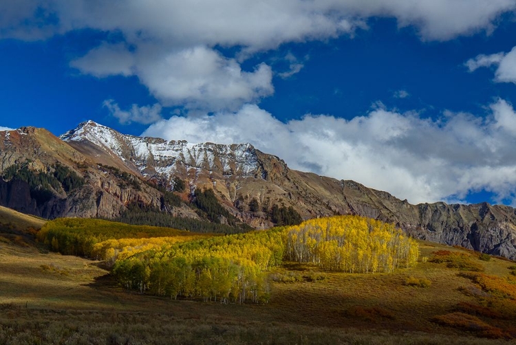 Picture of A COLORADO AUTUMN