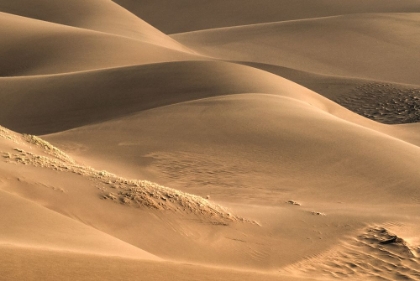 Picture of DUNES AND LIGHT