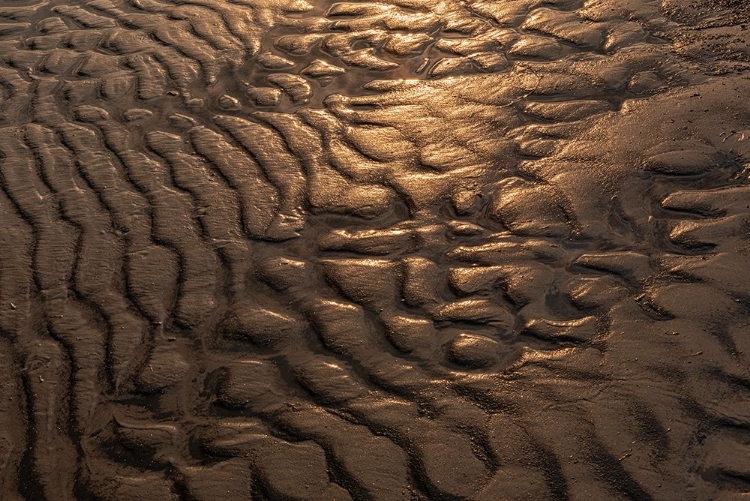 Picture of CANADA- MANITOBA- WINNIPEG. WAVE PATTERNS ON SANDY BEACH OF LAKE WINNIPEG.