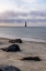 Picture of USA- SOUTH CAROLINA- CHARLESTON. FOLLY BEACH AND MORRIS ISLAND LIGHTHOUSE