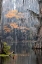 Picture of CADDO LAKE- TEXAS