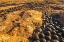 Picture of USA- UTAH- GRAND STAIRCASE ESCALANTE NATIONAL MONUMENT. MOQUI MARBLES STONES AND ROCKS.