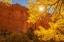 Picture of USA- UTAH- GRAND STAIRCASE ESCALANTE NATIONAL MONUMENT. ROCK FORMATIONS. AND COTTONWOOD TREES.