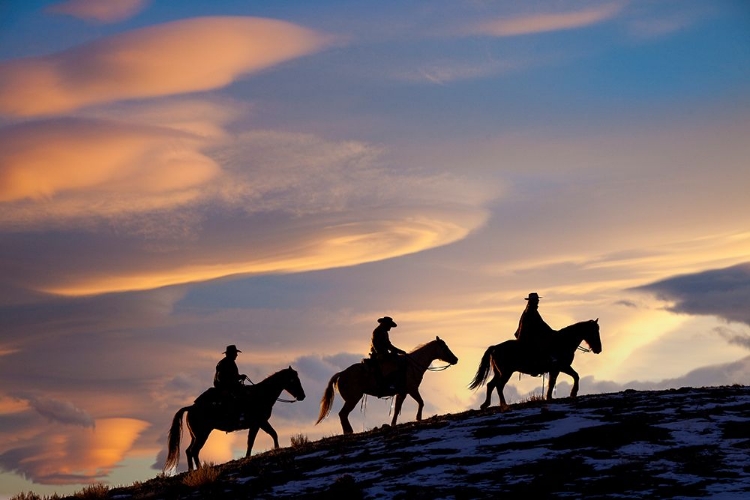 Picture of USA- SHELL- WYOMING. HIDEOUT RANCH COWBOYS AND COWGIRLS