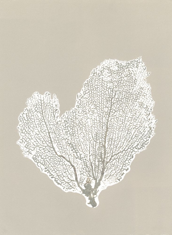 Picture of SEA FAN 4