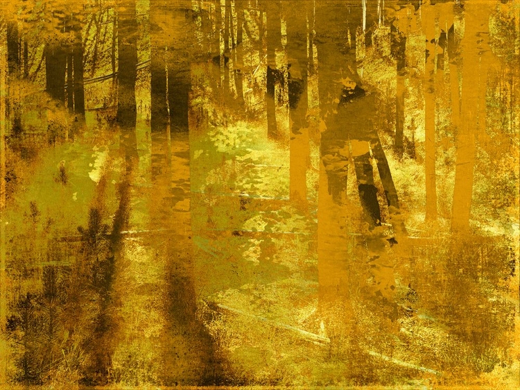 Picture of GOLDEN BIRCH MEADOW