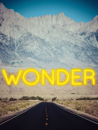 Picture of WONDER B