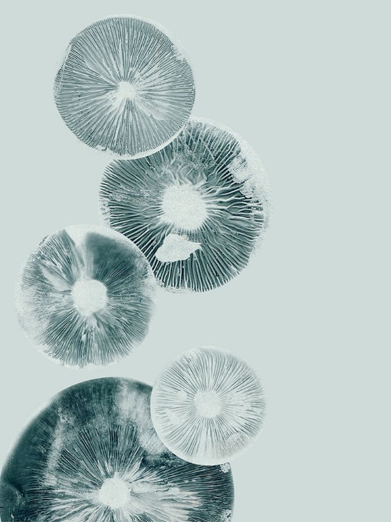 Picture of MUSHROOM LIGHT TEAL