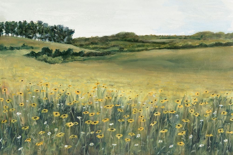 Picture of YELLOW MEADOW