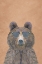 Picture of COOL BEAR PORTRAIT