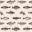 Picture of FISH IN GEOMETRICS NAO1