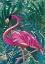 Picture of FLAMINGO IN THE JUNGLE