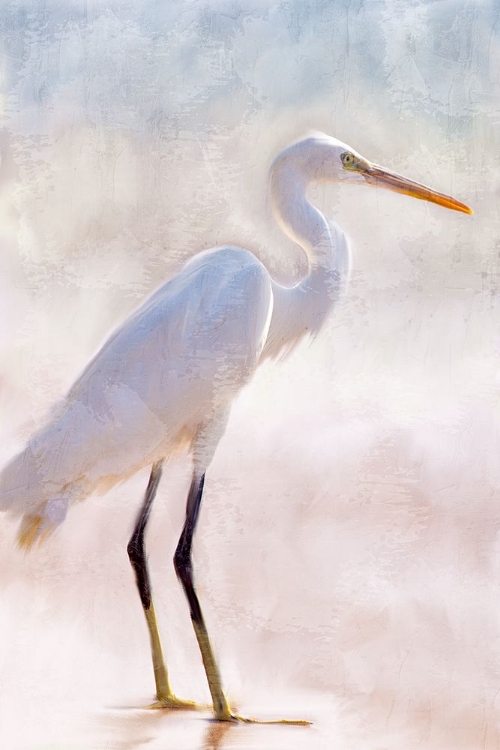 Picture of WHITE HERON