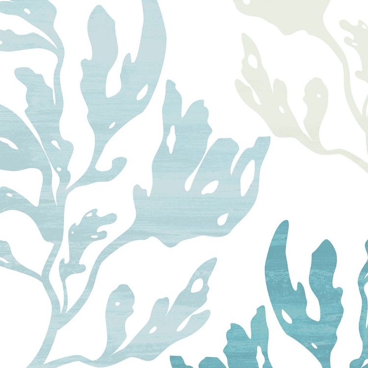 Picture of SEAWEED  BLUE 1